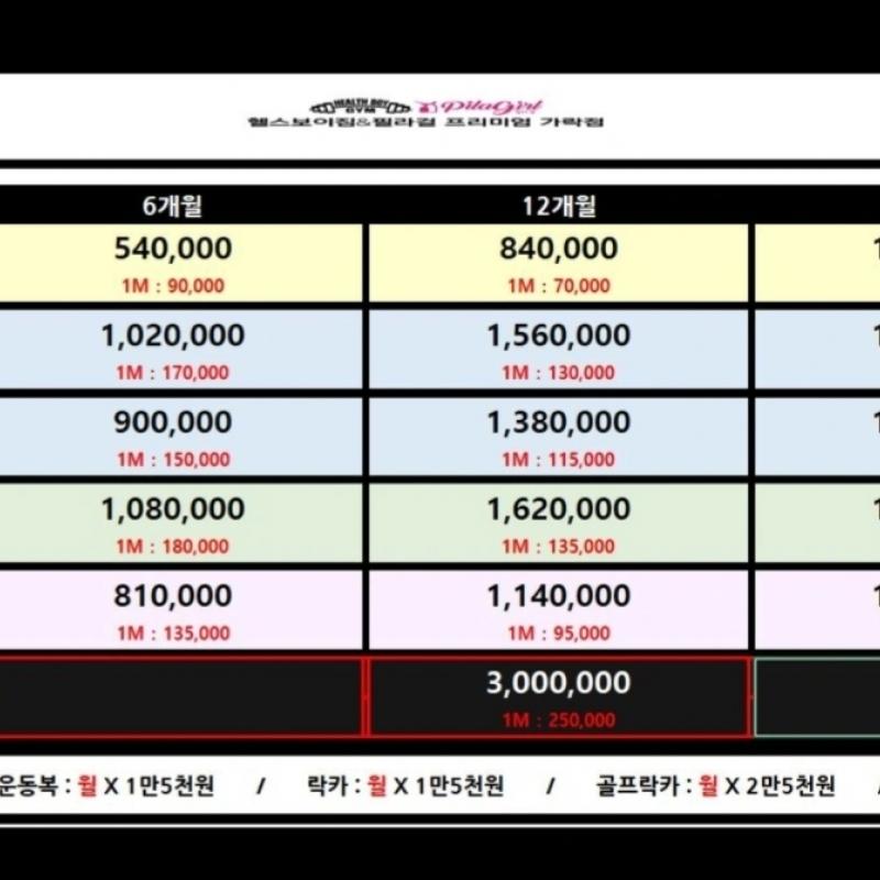 헬스보이짐X필라걸 S 프리미엄 가락점 ( GX + 헬스 + 락카 + 운동복 )