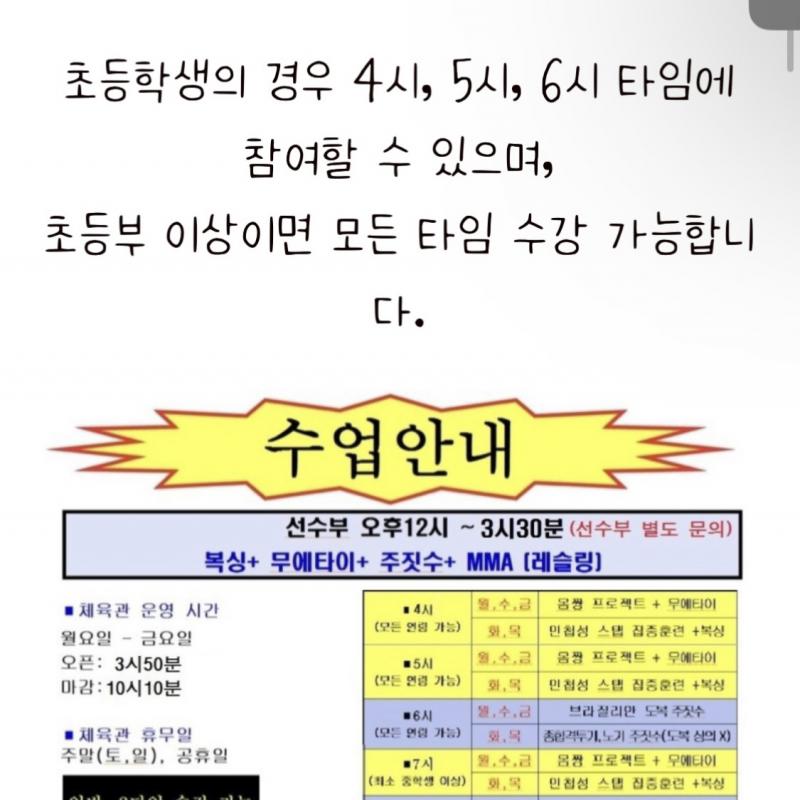 복싱 주짓수 체육관 4개월 양도 + 6만원 상당 글러브, 핸드랩