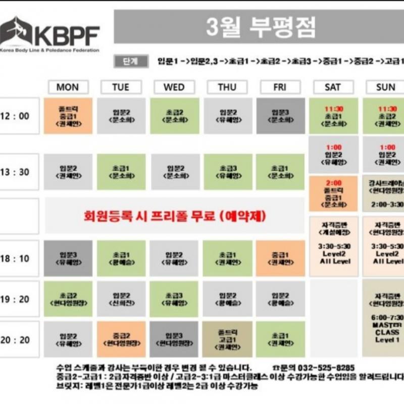 대한폴댄스연맹 전문가2급 양도 (전지점 가능)