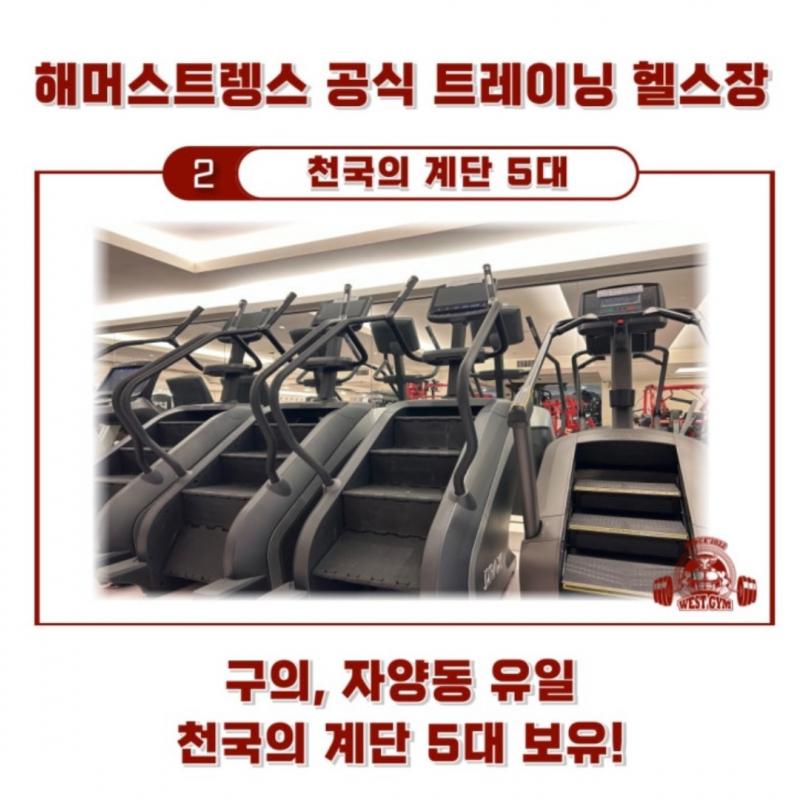 구의역 웨스트짐(해머스트랭스 오피셜) 양도 판매합니다!