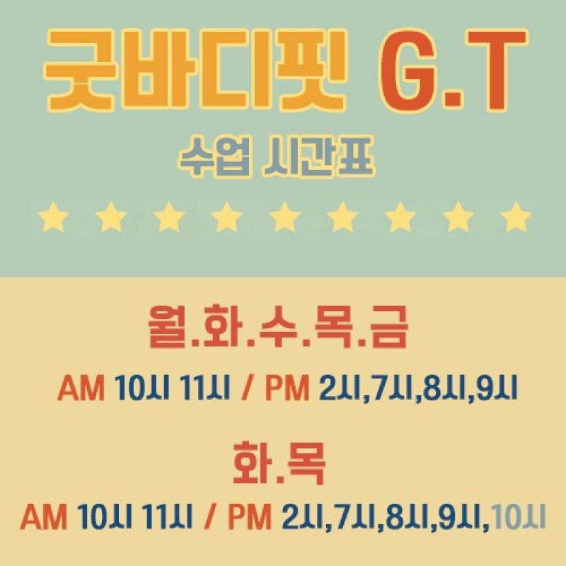 GT 그룹피티 양도합니다~
