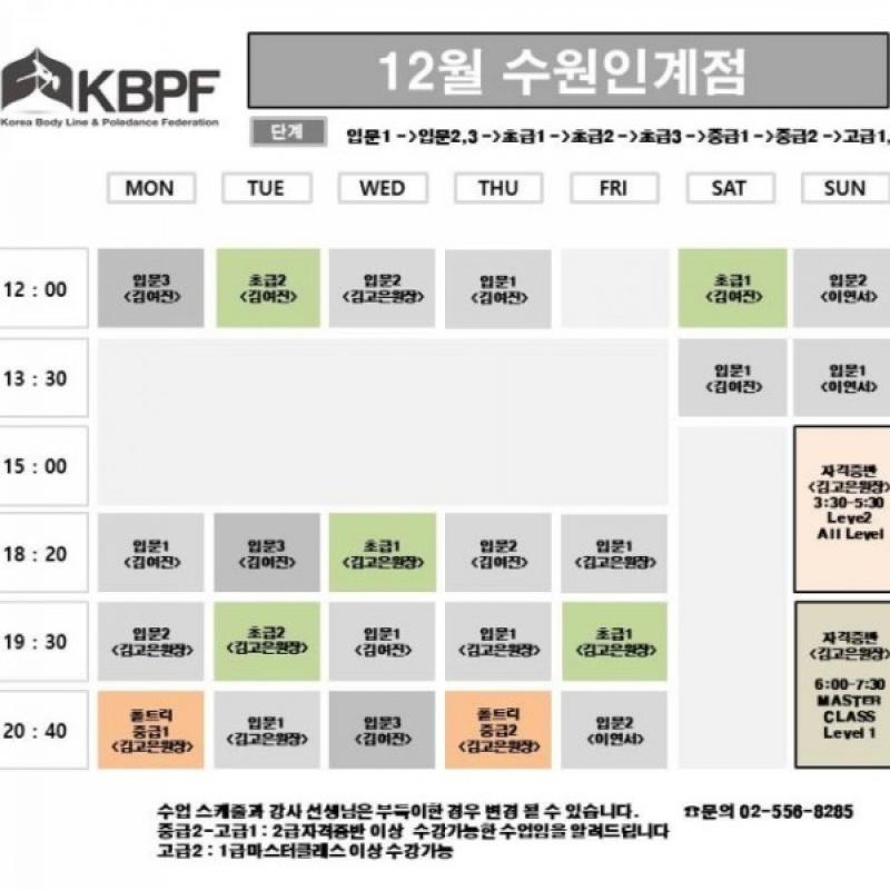 대한폴댄스연맹 입문반 26회 30만원 양도합니다