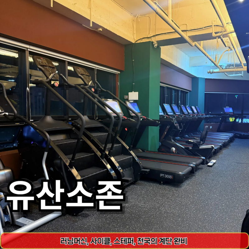 아세로짐 용죽점